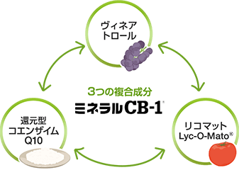 コンディション、つまり体環境