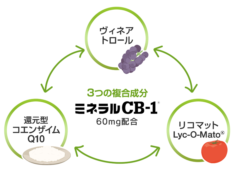 コンディション、つまり体環境