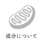 成分について