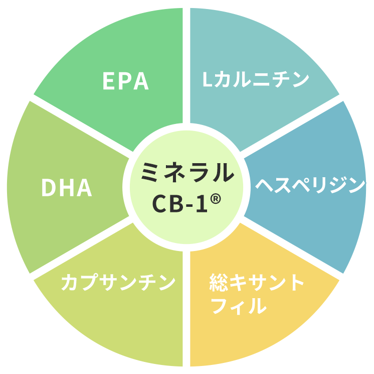 コンディション、つまり体環境