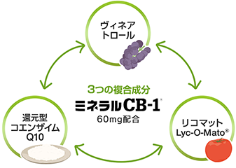 コンディション、つまり体環境