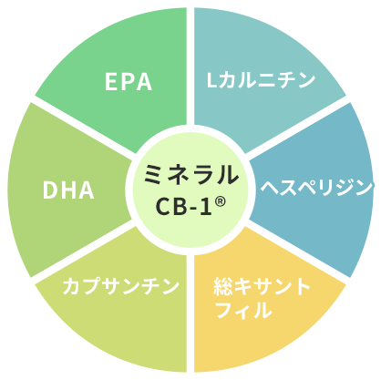 コンディション、つまり体環境